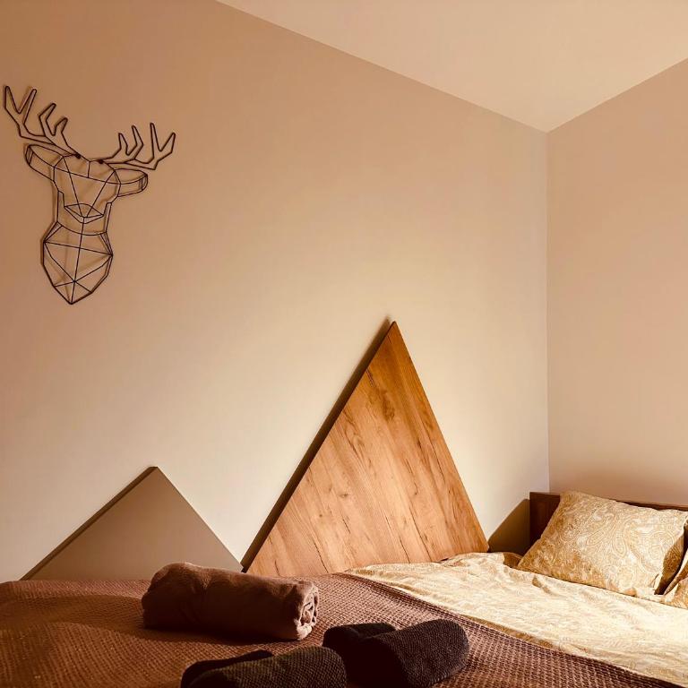Studio Apartman Nomad Divčibare - Studio apartman sa 1 bračnim krevetom - 13