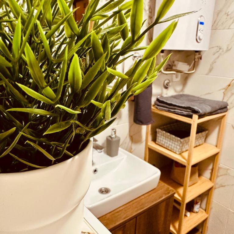 Studio Apartman Nomad Divčibare - Studio apartman sa 1 bračnim krevetom - 19