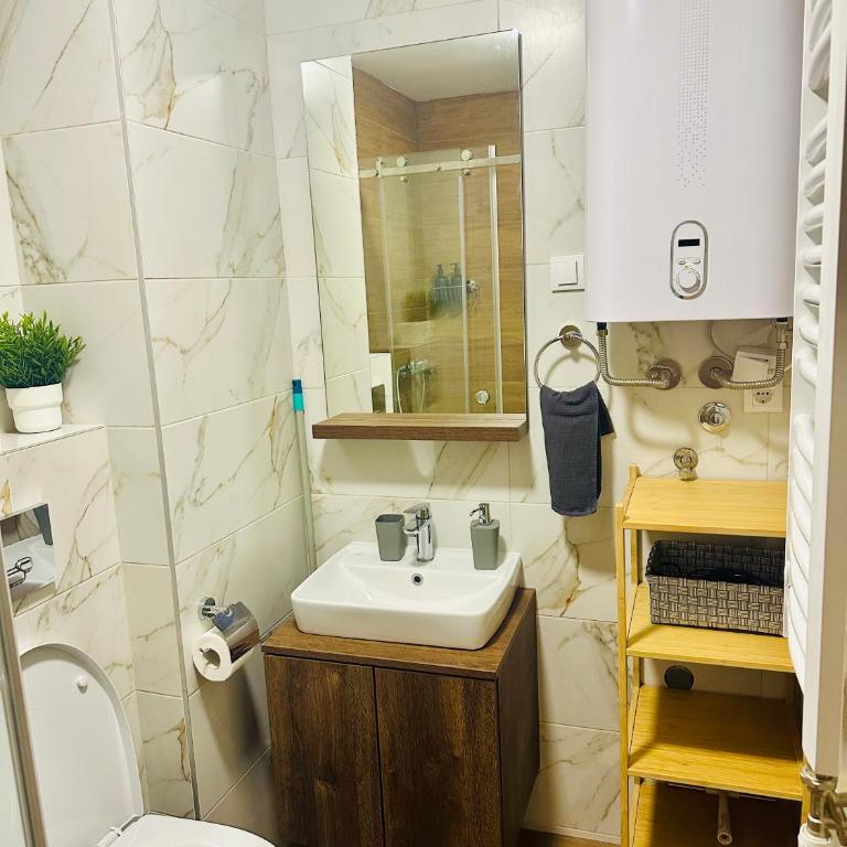 Studio Apartman Nomad Divčibare - Studio apartman sa 1 bračnim krevetom - 20