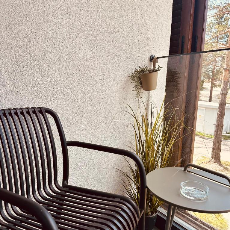 Studio Apartman Nomad Divčibare - Studio apartman sa 1 bračnim krevetom - 16