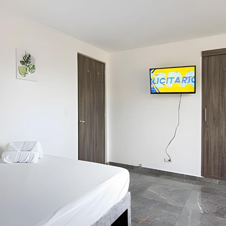 Vistas Top | Parking | Cerca De Estadio y "La 70" - Apartment - 35