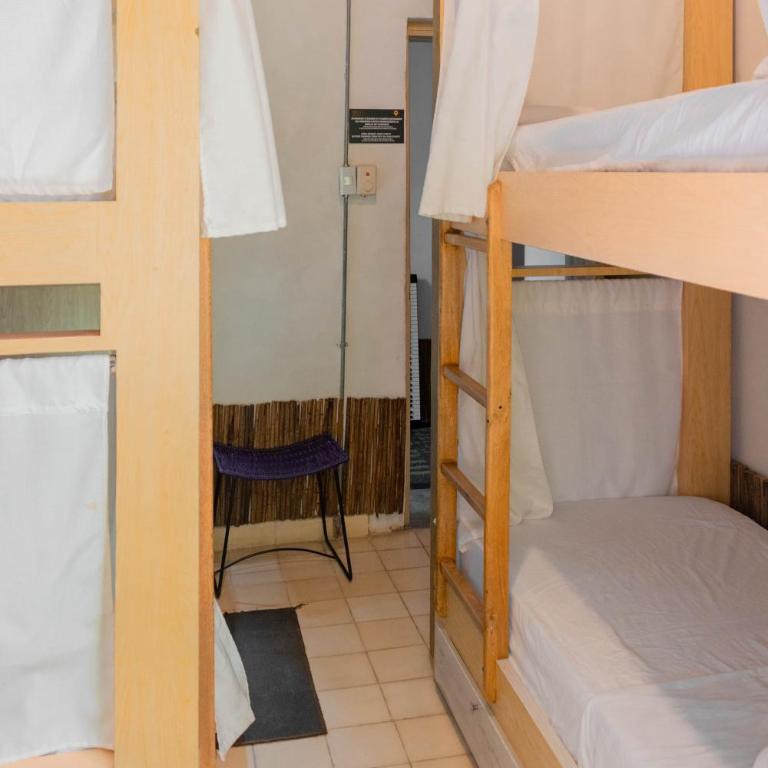 Hostel Musa Paradisiaca - Bed in 4-Bed Female Dormitory Room - 3