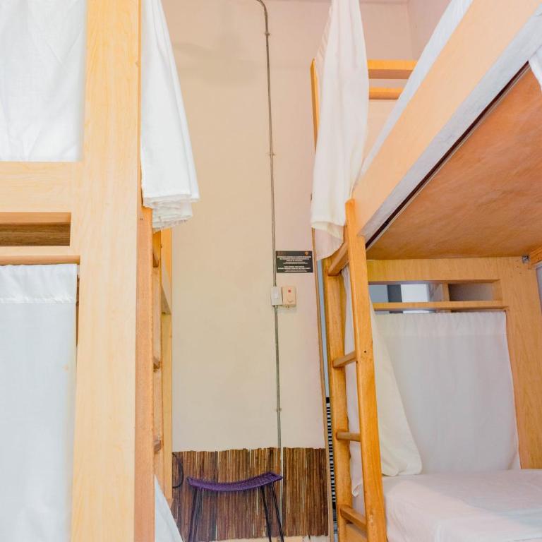 Hostel Musa Paradisiaca - Cama en habitación femenina compartida de 4 camas - 4