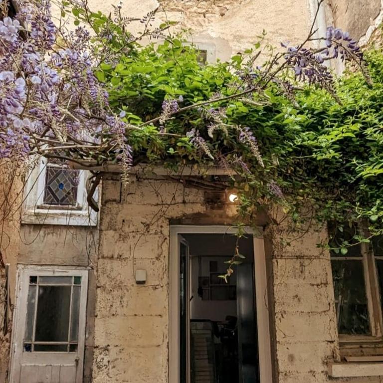 Le St-Hilaire, House in the city center with patio with parking - Villa - 7