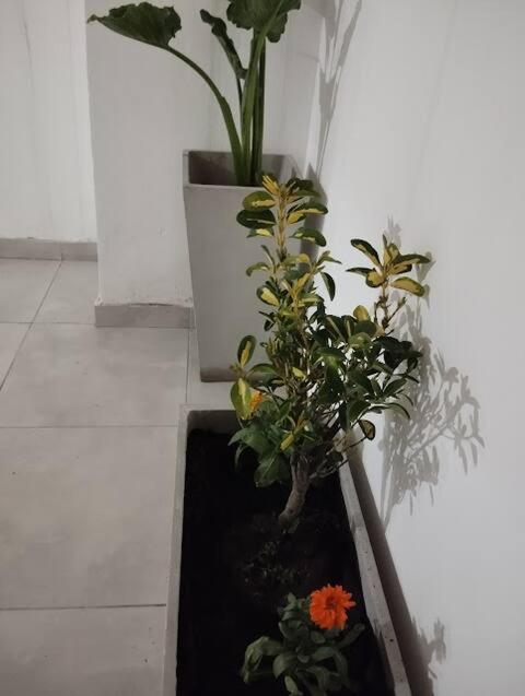Diseñado para vos, a pasos de Bv Oroño con cochera opcional - Apartamento de 1 dormitorio - 32