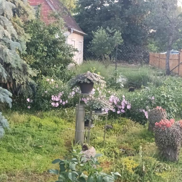 sobe MAŠA - Double Room - 81