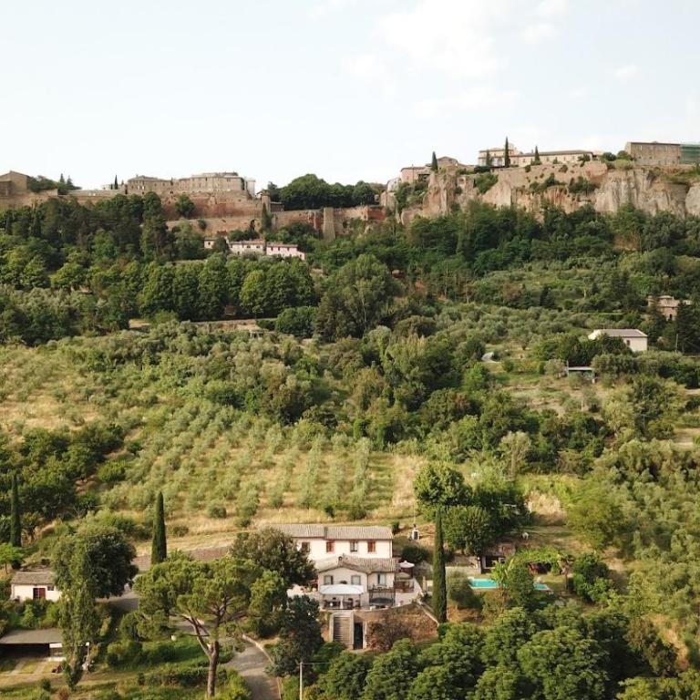 Il sogno umbro - Camera King con Vista Giardino - 40