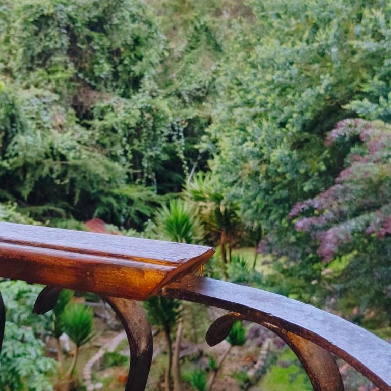 Cabaña en el arbol La Calera - Double Room with Park View - 17