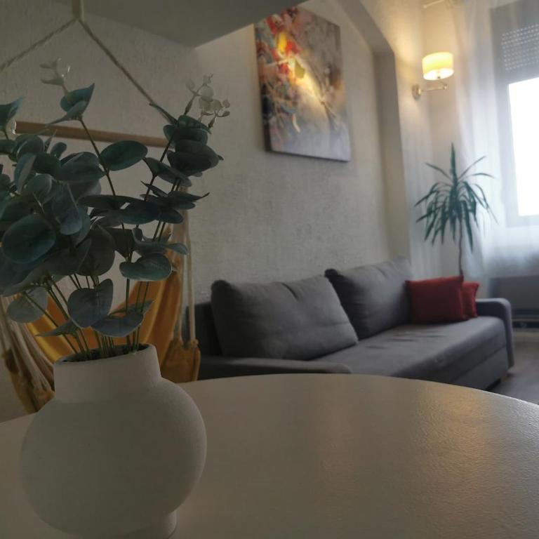- WHITE - white&black Apartmans-Free parking- - One-Bedroom Apartment - 35