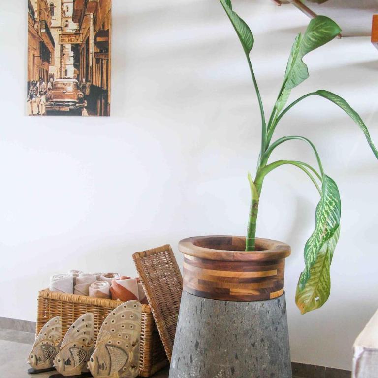 Luxurious PH Private pool BeachClub MistiqTulum - Three-Bedroom Apartment - 70