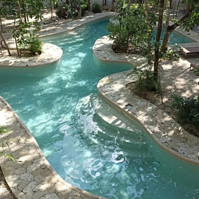 jungle jacuzzi studio - Apartamento de 1 dormitorio - 4