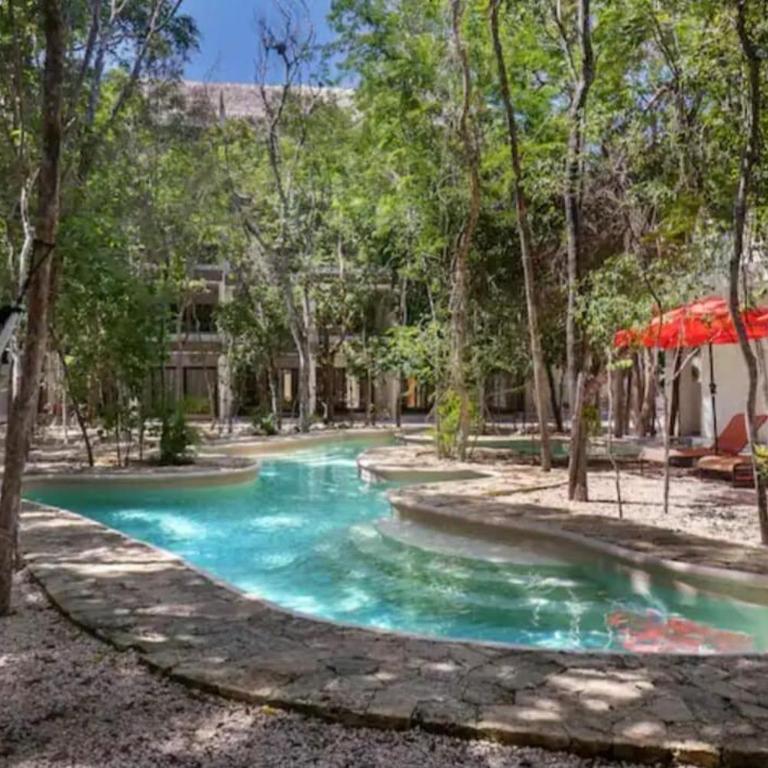 jungle jacuzzi studio - Apartamento de 1 dormitorio - 12
