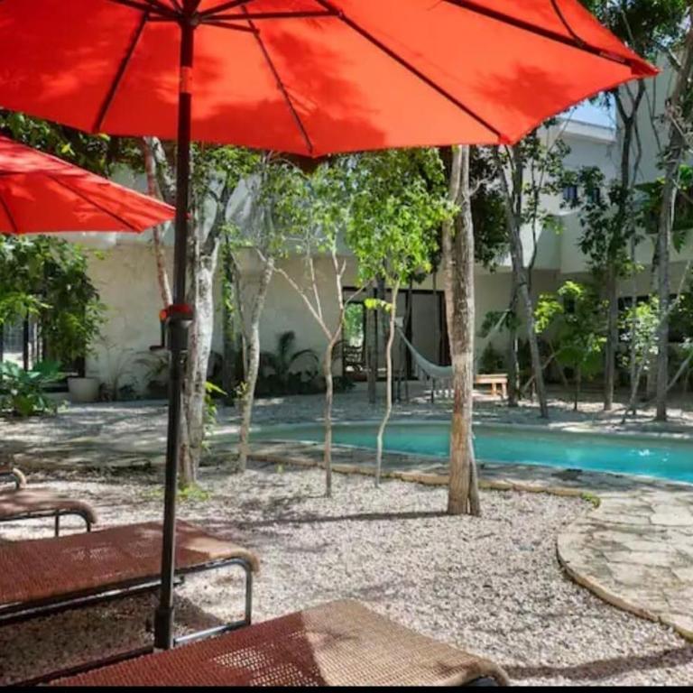 jungle jacuzzi studio - Apartamento de 1 dormitorio - 13