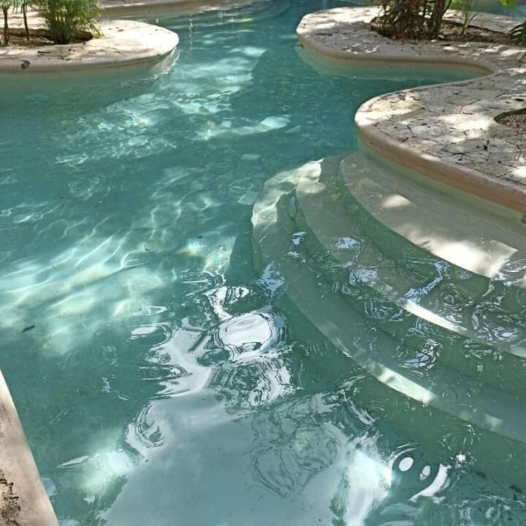 jungle jacuzzi studio - Apartamento de 1 dormitorio - 14