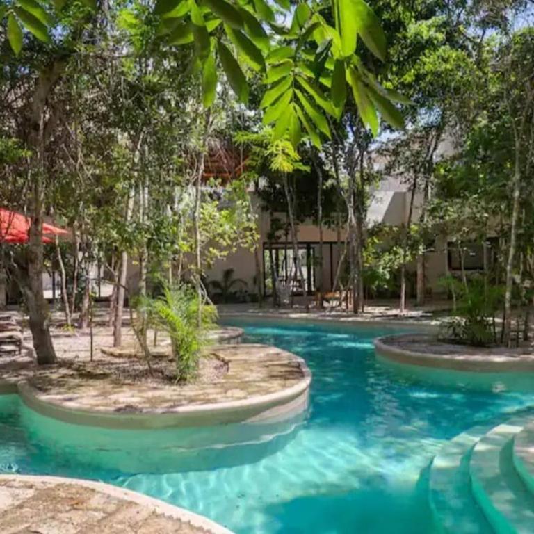 jungle jacuzzi studio - Apartamento de 1 dormitorio - 15