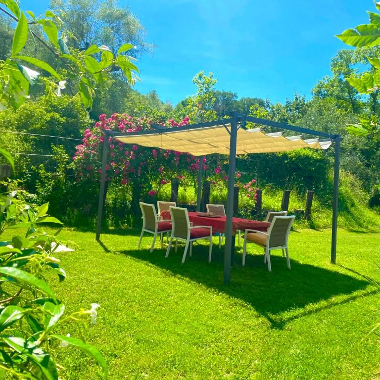 Dimora Bella Civita Bagnoregio - Casa - 2