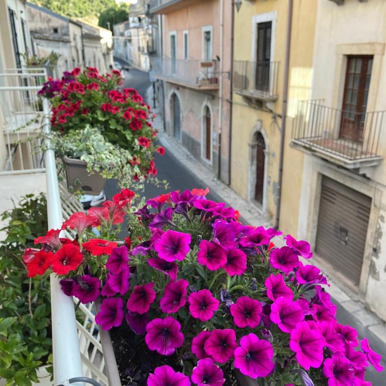 La casa di Irene - Suites con vista - Appartamento Superior - 9