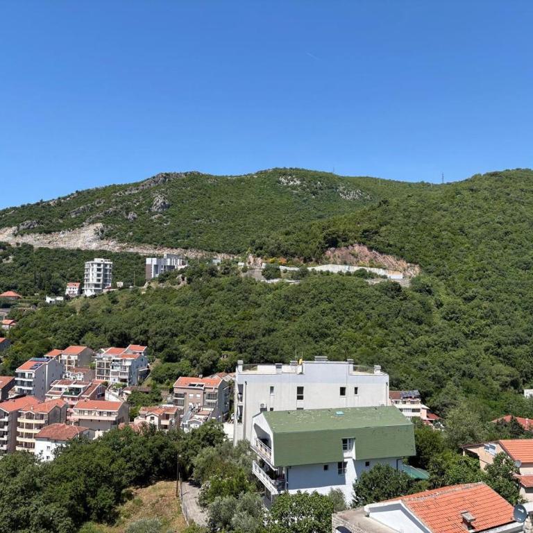 Becici Summer Apartments - Superior One-Bedroom Apartment with Balcony - 2