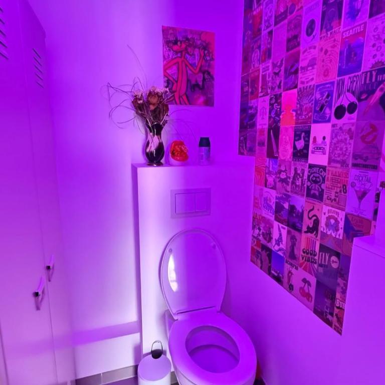 Le Petit Bamboo - Metz - Appartement 1 Chambre - 3