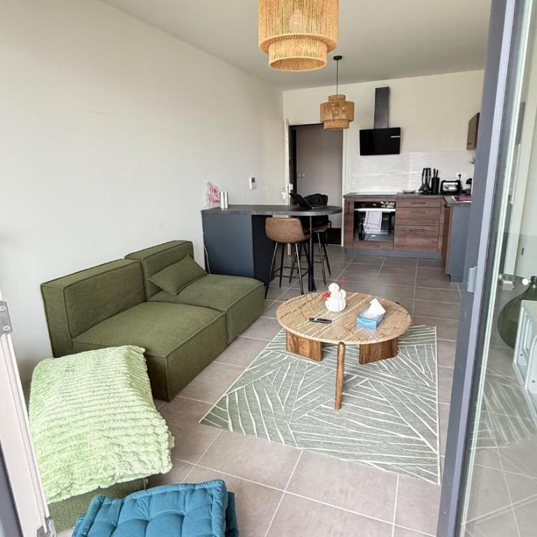 Le Petit Bamboo - Metz - Appartement 1 Chambre - 35