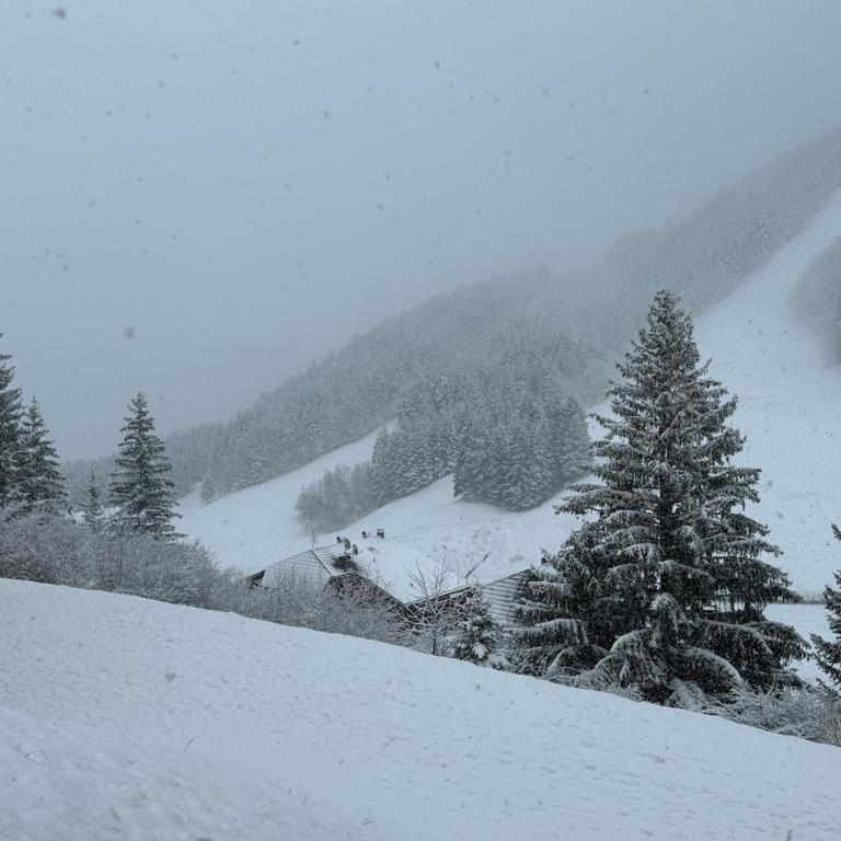 2-bed appt 20 mins from Morzine Portes du Soleil French Alps - Appartement 2 Chambres - 44