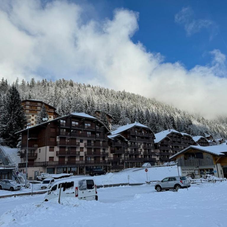 2-bed appt 20 mins from Morzine Portes du Soleil French Alps - Appartement 2 Chambres - 45