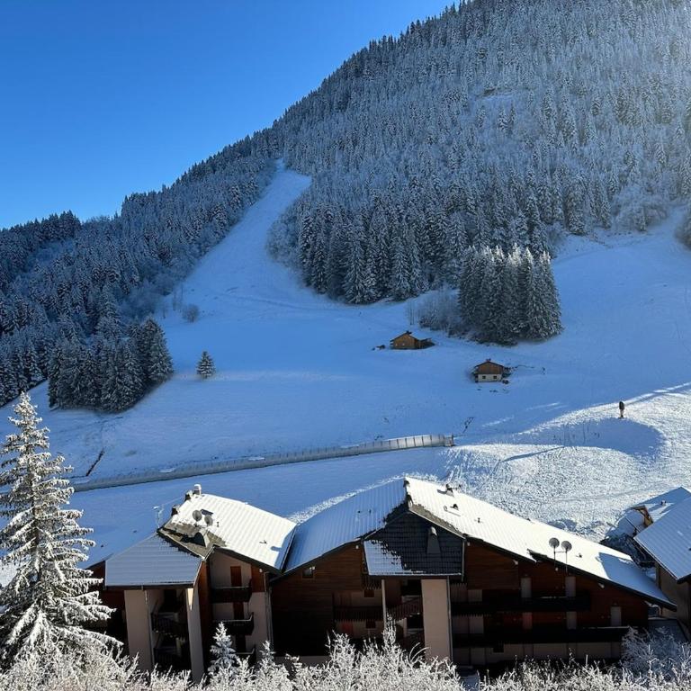 2-bed appt 20 mins from Morzine Portes du Soleil French Alps - Appartement 2 Chambres - 47