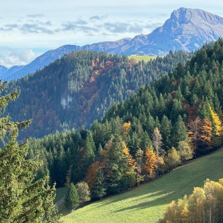 2-bed appt 20 mins from Morzine Portes du Soleil French Alps - Appartement 2 Chambres - 35