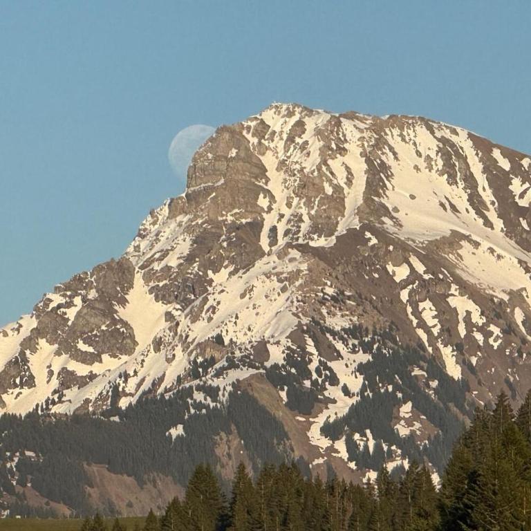 2-bed appt 20 mins from Morzine Portes du Soleil French Alps - Appartement 2 Chambres - 51