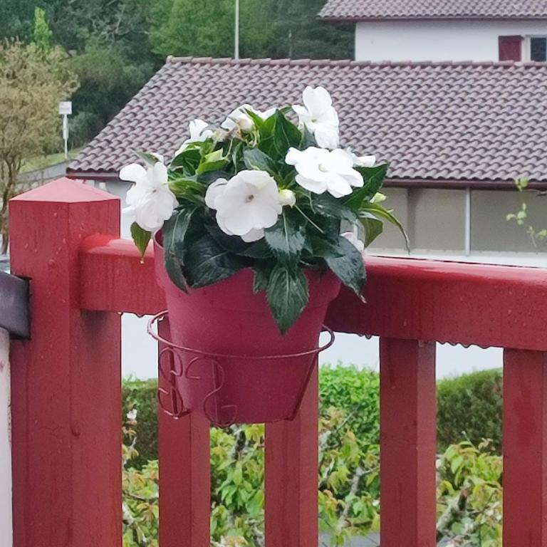 Location de charme T3 au 2e étage et dernier étage - Apartamento de 2 dormitorios - 2