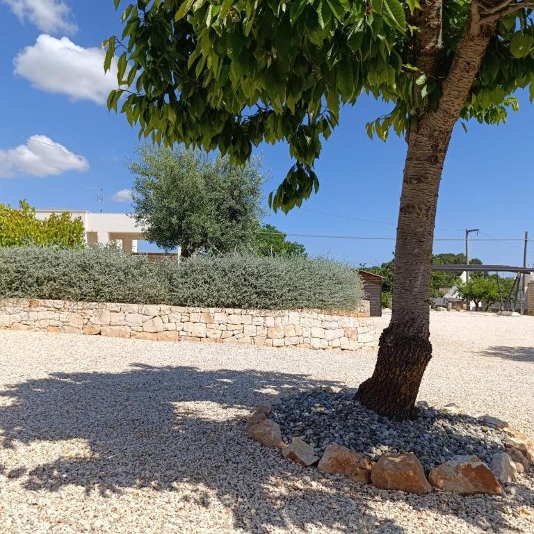 Valle d'Itria IN - Villa con 2 Camere da Letto - 86