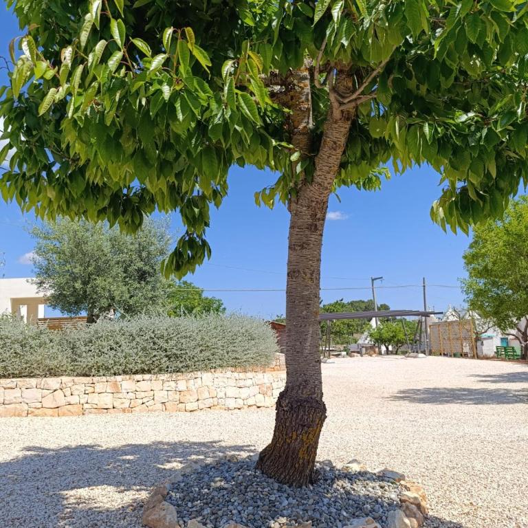 Valle d'Itria IN - Villa con 2 Camere da Letto - 89