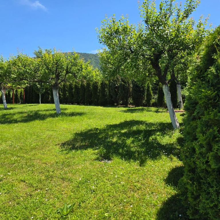 Villa Usivak for green quiet holiday near Sarajevo# TravelersAwards 2026 - Vila - 7
