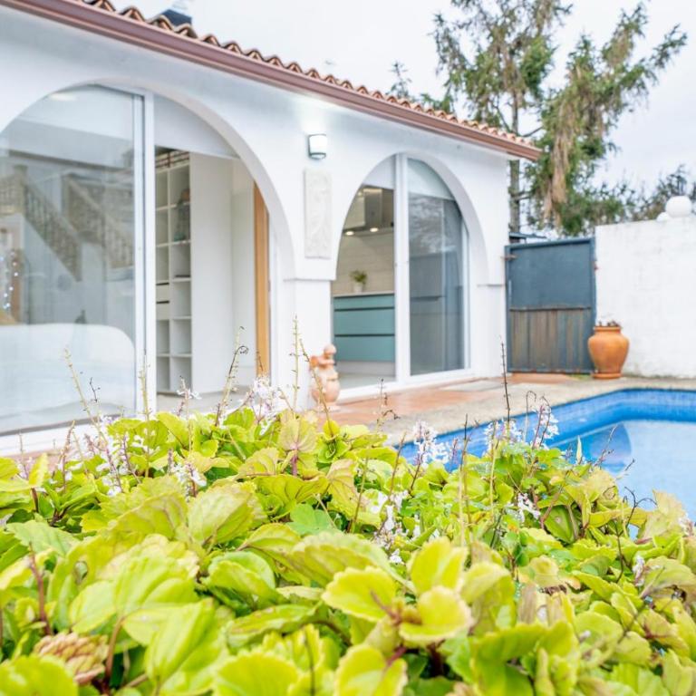 Cova dos Frei - Apartamento de 1 dormitorio - 2