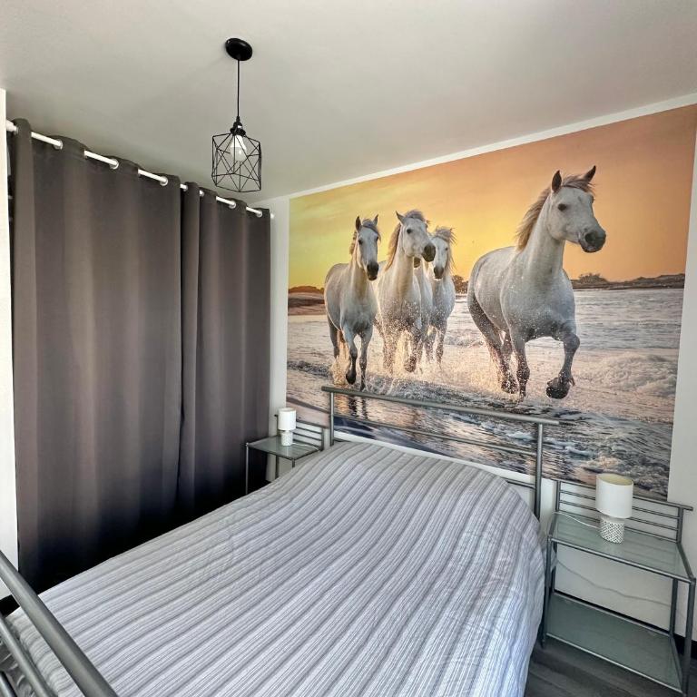 Cristiane - Appartement tout confort pour 4 pers à deux pas de la plage de Berck - One-Bedroom Apartment - 14