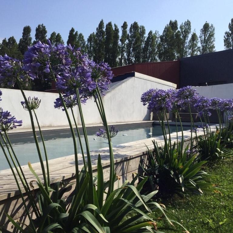 Belle villa avec piscine, proche plage et centre de Saint-Jean-de-Luz - FR-1-239-718 - Villa - 1