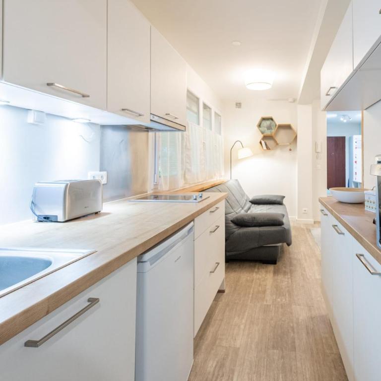 Lachenal - Studio proche du centre historique - Appartamento con 1 Camera da Letto - 13