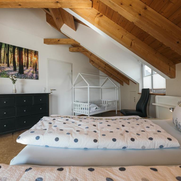 Panorama Säntisblick - Familien-Apartment mit 1 Schlafzimmer - 5