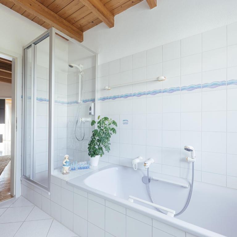 Panorama Säntisblick - Familien-Apartment mit 1 Schlafzimmer - 16