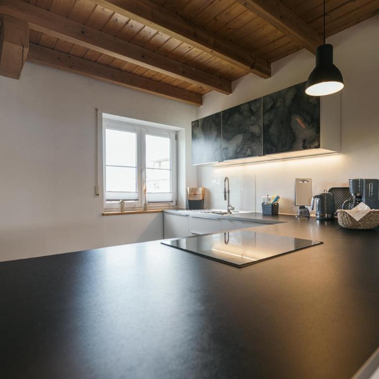 Panorama Säntisblick - Familien-Apartment mit 1 Schlafzimmer - 8