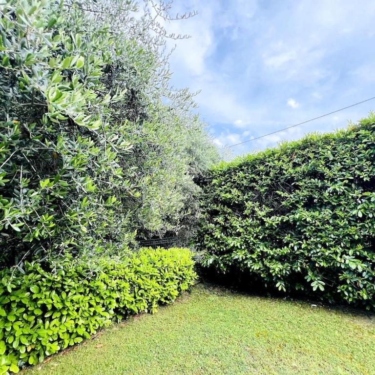 Suite dei Fiori - Luxury Open Space - Appartamento con 2 Camere da Letto - 25