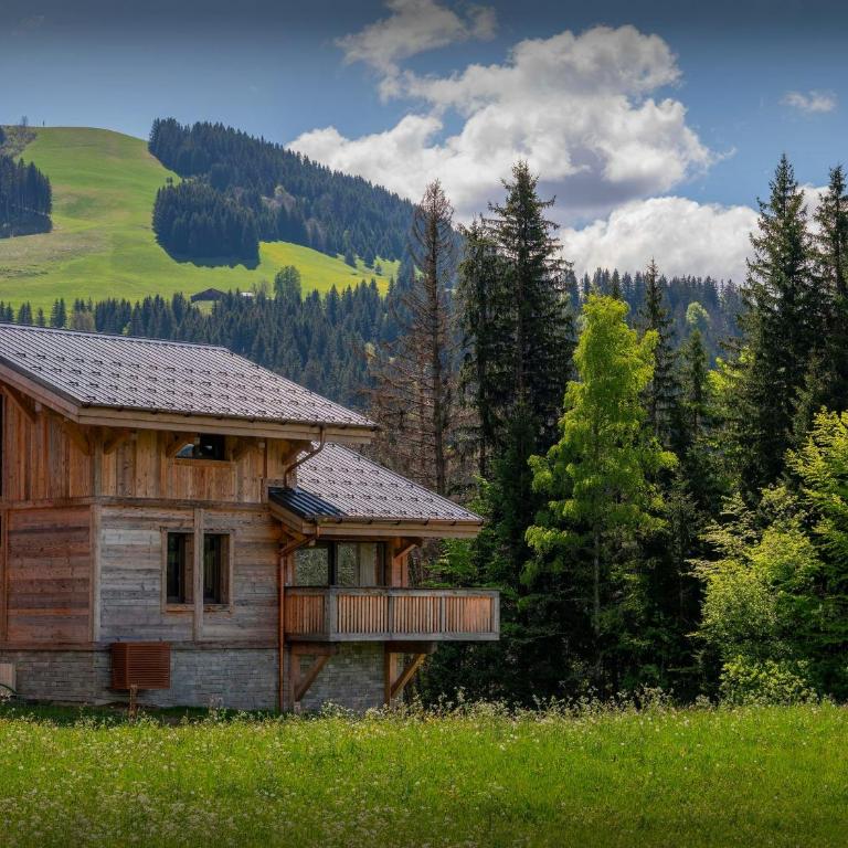 Chalet Marmot'Inn - OVO Network - Chalet - 12