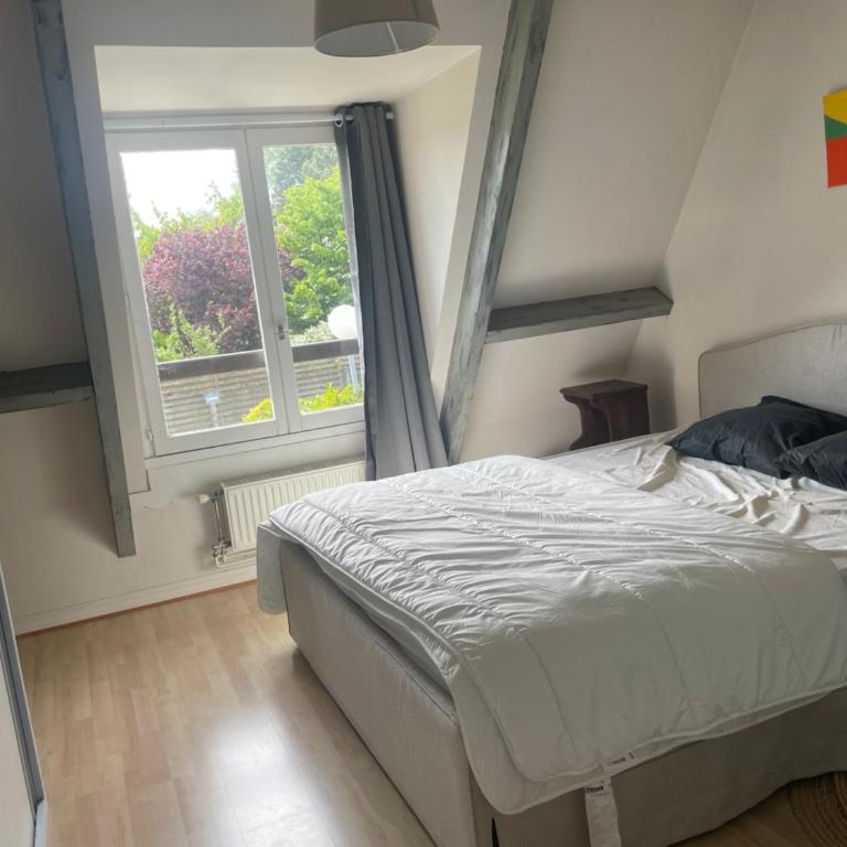 Cottage with Garden 5mn Beach - Maison 2 Chambres - 12