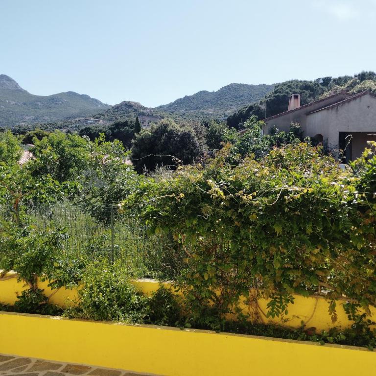 Villa Amarena - Villa 3 Chambres - 3