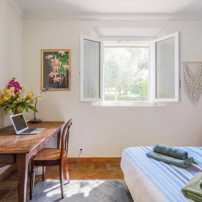Calme Absolu & Grand Jardin entre Mougins et Cannes - Villa - 21