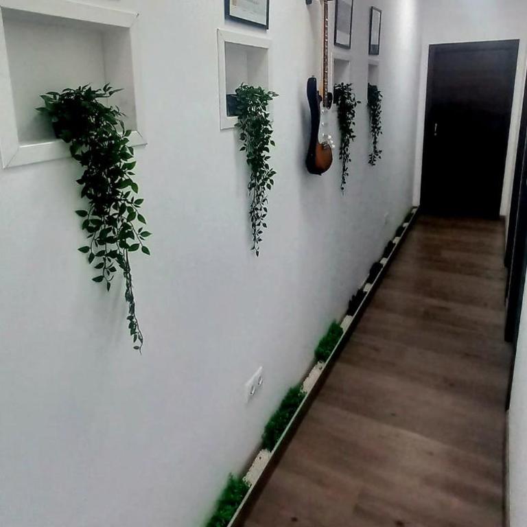 Natur Vida Home Tenerife - Habitación Doble con baño privado - 4