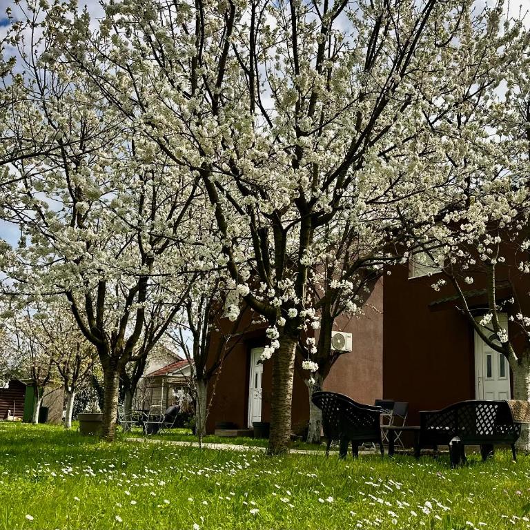 Tiny house 2 - Imanje Terzic - One-Bedroom Apartment - 11