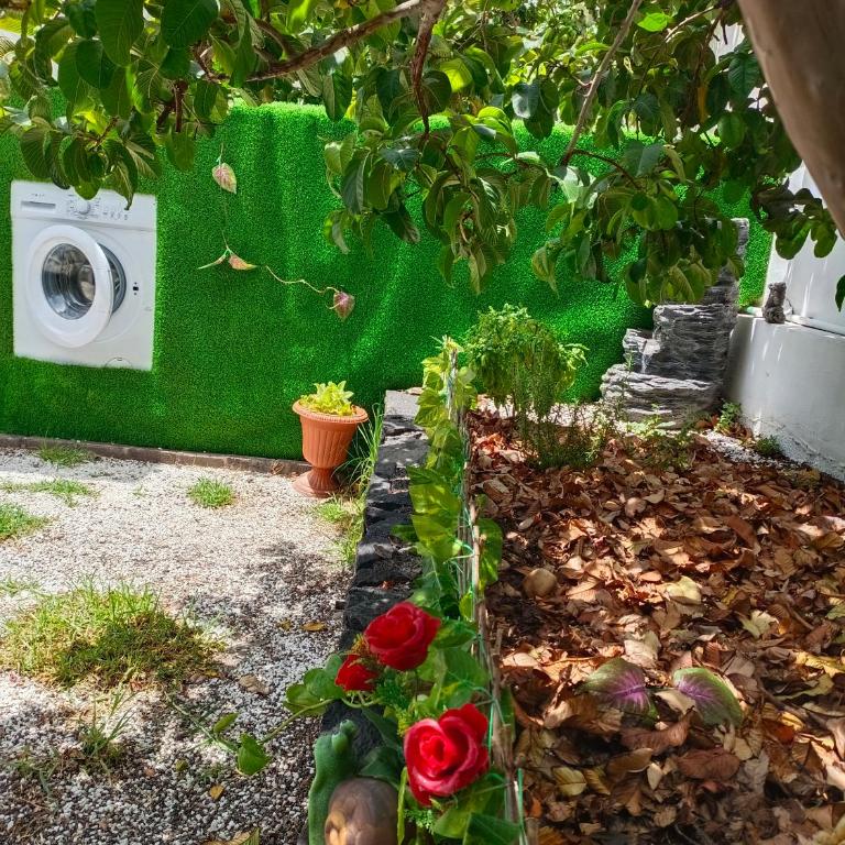 Casa Cristal - Apartamento de 2 dormitorios - 28