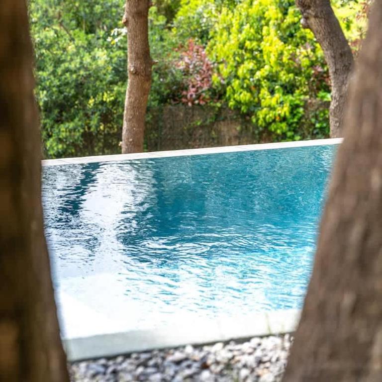 Villa de Luxe | Jardin & Piscine à Débordement - Maison de Vacances - 33