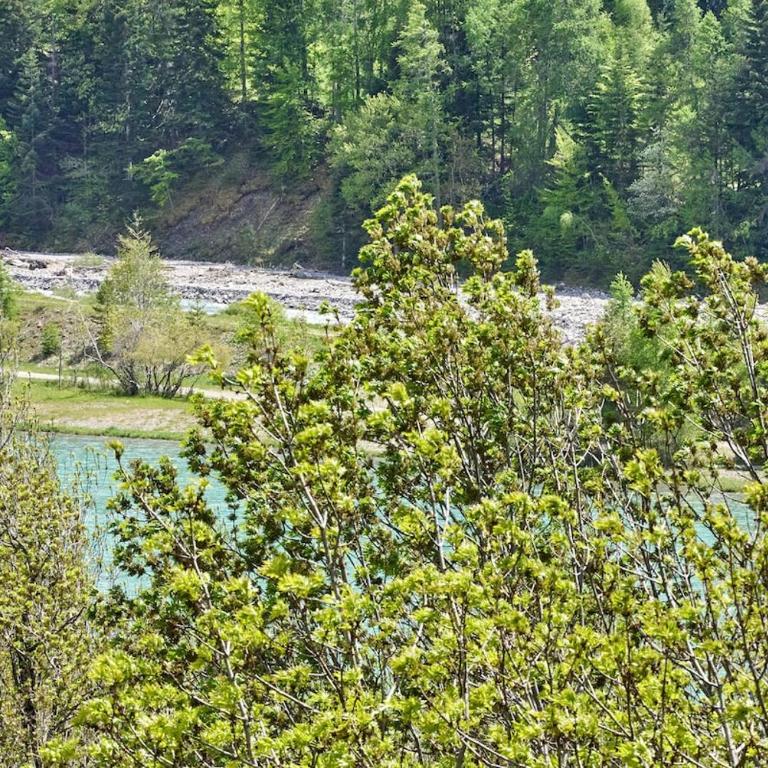 Chalet du Cerf - Chalet - 29